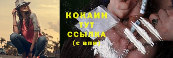 дмт Вяземский