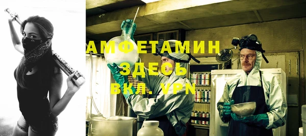 мяу мяу мука Гусь-Хрустальный
