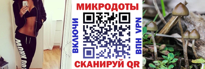 Псилоцибиновые грибы Psilocybine cubensis  магазин продажи   Гусь-Хрустальный 